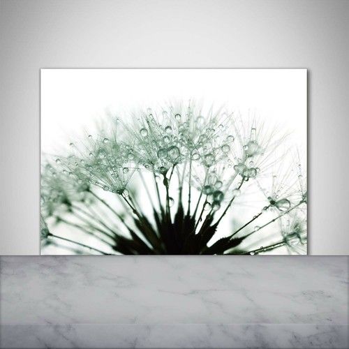 Tulup Kitchen Glass Splashback 100x70 Dandelion seeds