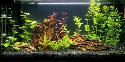 Black Aquarium Gravel Fish Tank Terrarium Sand Plant Soil Substrate 30kg 3-5mm — image 12