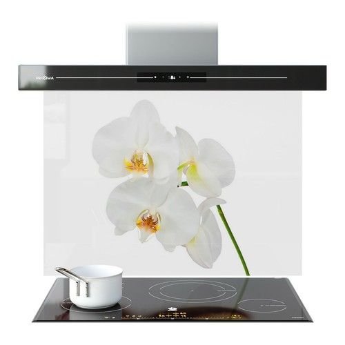 GLASS SPLASHBACK Kitchen Wall Decor Panel Tiles ANY SIZE White Orchid Flower WxH