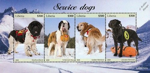 SERVICE DOGS (Newfoundland/St. Bernard/Retriever) Dog Stamp Sheet (2020 Liberia)
