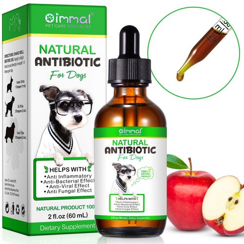 Dog Anti Biotic Drops 100% Natural for Immune System Support & Anti-Inflammatory — image 6