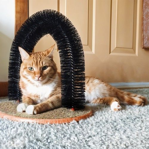 Cat Grooming Arch Self Grooming Massager Cat & Kitten Pet Grooming Brush Arch UK