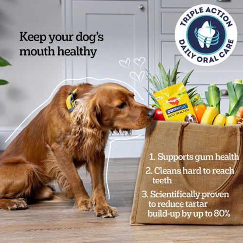 105 Pedigree Dentastix Daily Dental Sticks Dog Treats Small Dog Chews — image 4