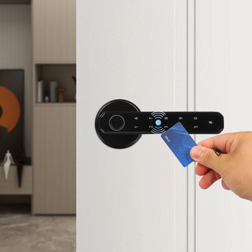 Fingerprint Door Lock Knob Smart Door Handle Lock Type-c Interface Smart Door — image 3