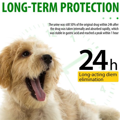 Dog Anti Biotic Drops 100% Natural for Immune System Support & Anti-Inflammatory — image 15