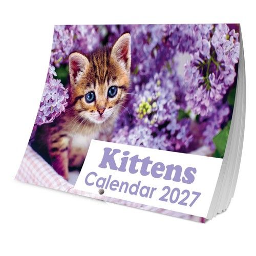 2027 Kittens Cats Calendar Wall Monthly Planner Family Home Organiser