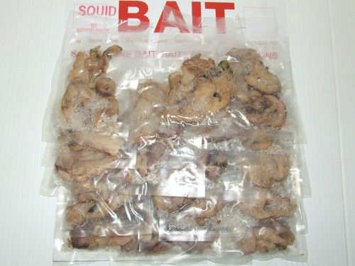 PRESERVED SEA BAIT SQUID WHITE BAIT RAGWORM BLACK LUG SANDEEL MACKEREL SEA FISH