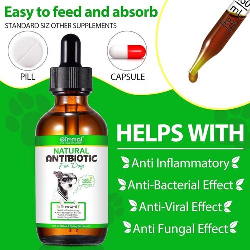 Natural Anti Biotic Drops for dogs Anti-Inflammatory 100% Immune System Support — image 3