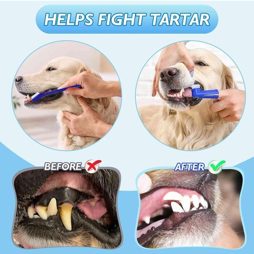 Pet Toothbrush UK Kit Toothbrush Toothbrush Finger Dog Toothpaste UK 2026 — image 12