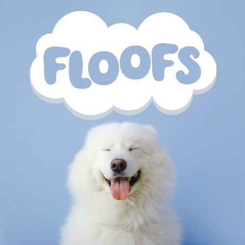 Dog Ear Cleaner Floofs Drops for Itching Mites Wax Odours Pet Ear Drops Solution — image 7