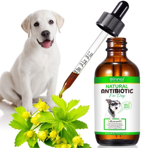 Dog Anti Biotic Drops 100% Natural for Immune System Support & Anti-Inflammatory — image 4