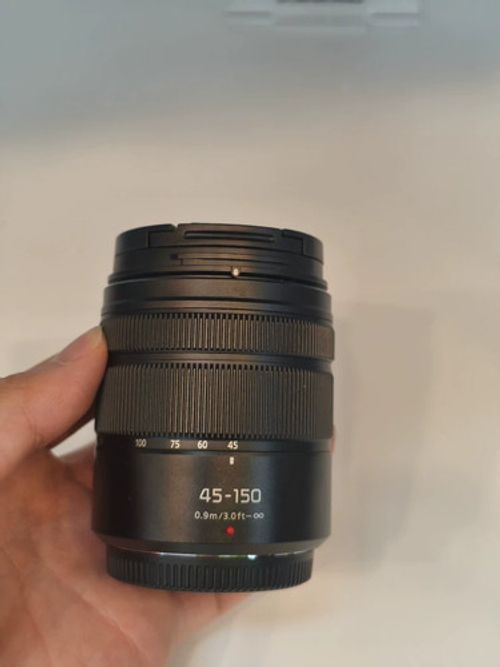 Panasonic Lumix G Vario 45-150mm f/4-5.6 ASPH Lens