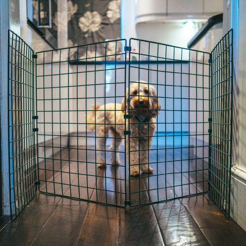 Indoor Dog Fence Folding Mesh Gate Barrier Door Portable Room Hallway Divider — image 1