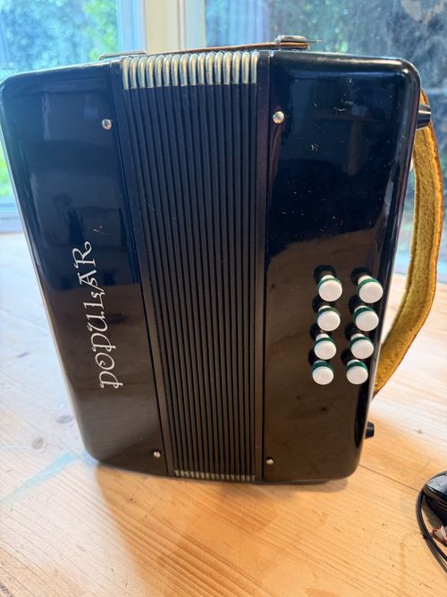 Delicia Popular Melodeon 21 Button 8 Bass Czech Accordion - Dealer Price £399 — image 5