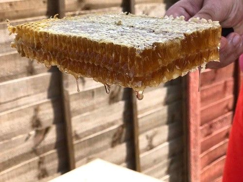 Raw Honeycomb DIRECT FROM THE HIVE  2026 New Harvest  Organic Pure Natural Honey