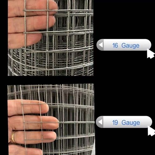 Galvanised Welded Wire Mesh 15m Roll Heavy Duty 2m Tall 6ft  Fencing Aviary