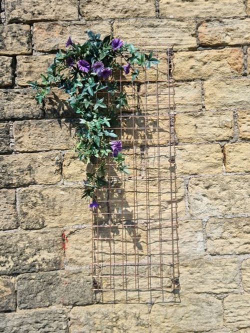 Garden Trellis Plant Support Wall Mounted Wire Mesh