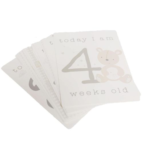 Baby My First Milestones Record Book / Photo Album and Milestones Cards Set — image 5