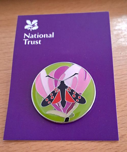 National Trust BADBURY RINGS Six Spotted Burnet Moth new  Pin Badge. Free Post