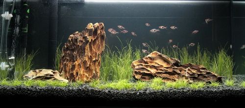 Black Aquarium Gravel Fish Tank Terrarium Sand Plant Soil Substrate 30kg 3-5mm — image 6