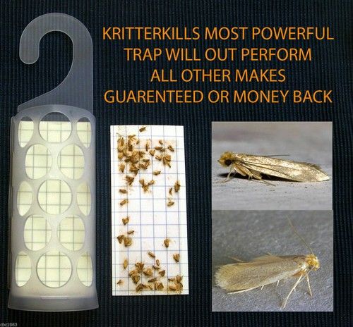 5 x KRITTER KILL DIAMOND CLOTHES PHEROMONE MOTH TRAPS and HOLDERS- USE By 01/30