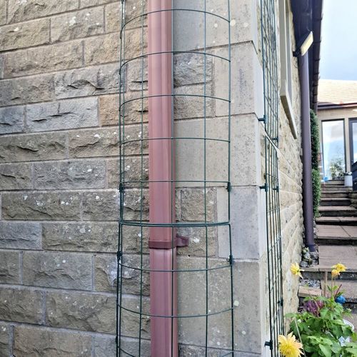 Wall Plant Support Trellis Mesh For Climbing Climbers Metal Frame Flexigro Panel — image 4