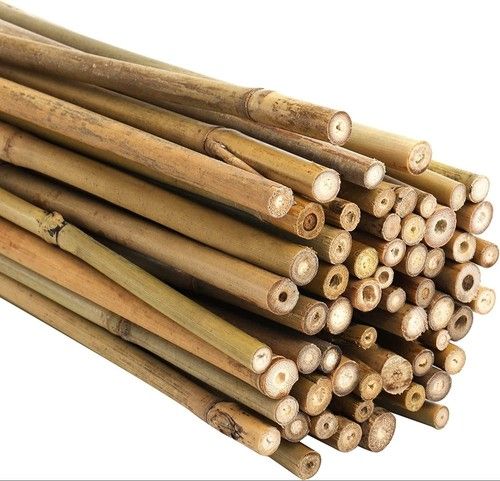 2ft 3ft 4ft 5ft 6ft Strong Bamboo Canes Heavy Duty Plant Stakes Thick Poles Cane