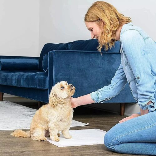 1-200x Disposable Baby Changing Pads DOG Mat Travel Disposable Waterproof Diaper — image 2