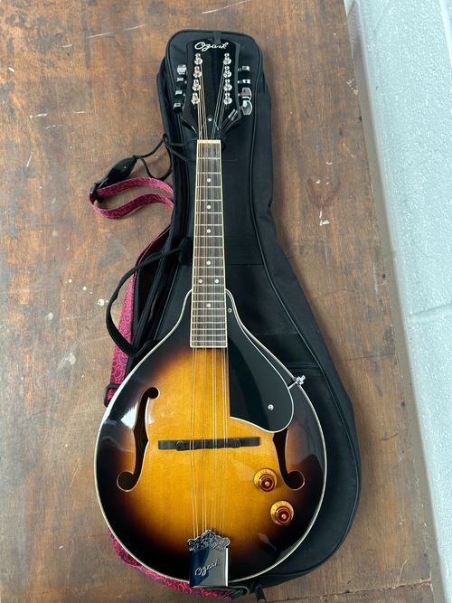 Ozark 2077 Electro Acoustic A Model Mandolin A Style With Case — image 1