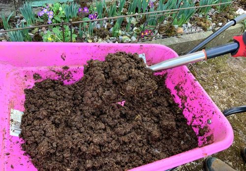 2Kg DRIED POWDERED LIGHTWEIGHT HORSE MANURE EASY USE - COMPOST JUST ADD WATER — image 5