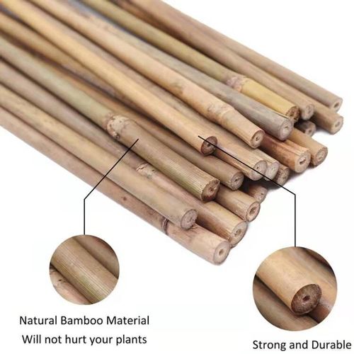 Strong Heavy Duty Professional Bamboo Plant Support Garden Canes | 2ft - 6ft — image 1