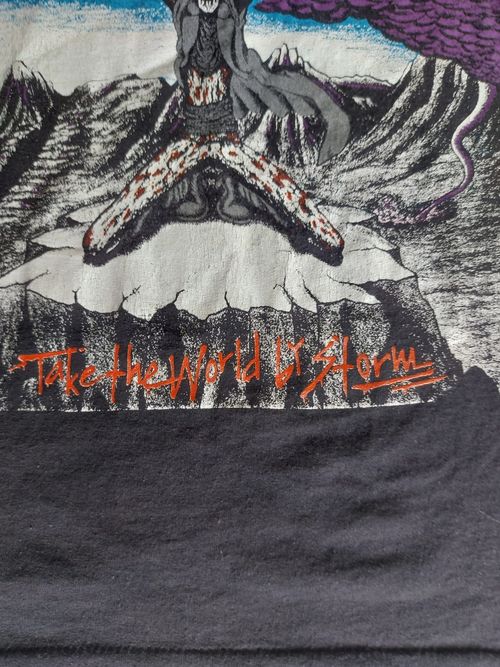 Rare Vintage 1980s Slave Raider TShirt Take The World By Storm. M/L — image 4