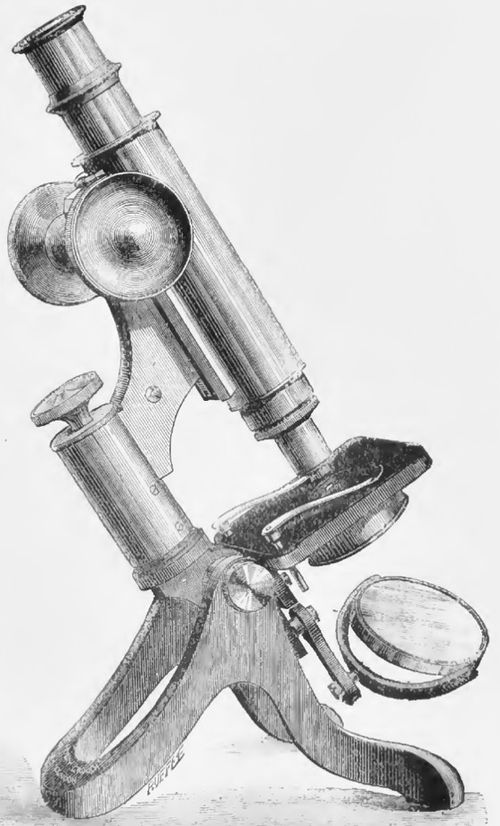 Antique Henry Crouch Histological Brass Microscope - circa 1887, Cased — image 23