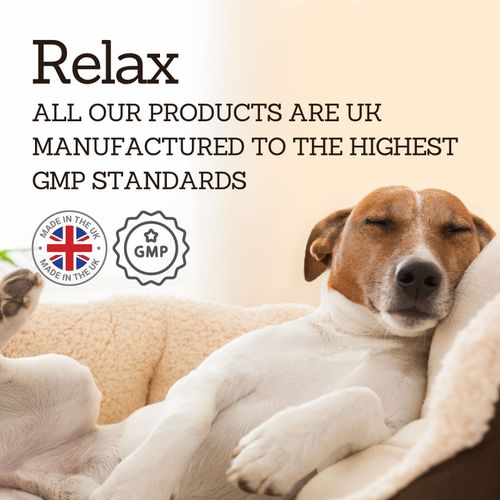 Multivitamin for Dogs, All Essential Daily Vitamins & Minerals Tablets, UK — image 9