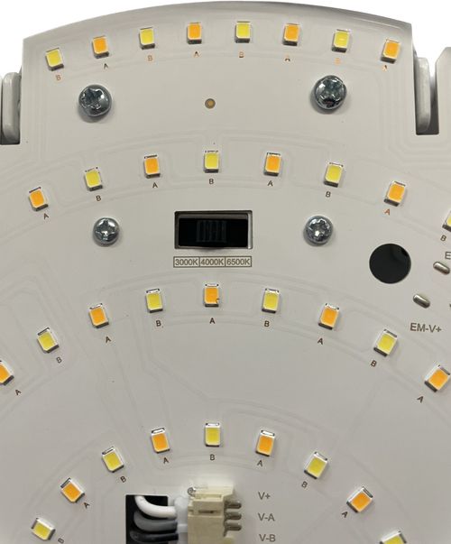 LED Bulkhead Light IP65 Round 2D Style 4 Power Selectable CCT Ceiling Wall Light — image 5