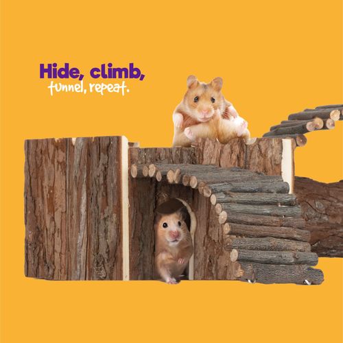 PETLICITY Wooden Hamster Climbing House with Tunnels — image 4