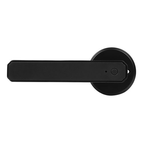 Fingerprint Door Lock Knob Smart Door Handle Lock Type-c Interface Smart Door — image 12
