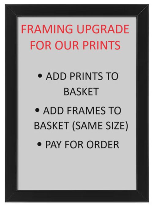 FRAMING UPGRADE -  PHOTO PRINT FRAMED - FRAME YOUR PRINT PURCHASED FROM US