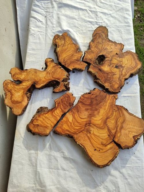 Rare Olive Wood Slab 23"x23" Live Edge Epoxy Table