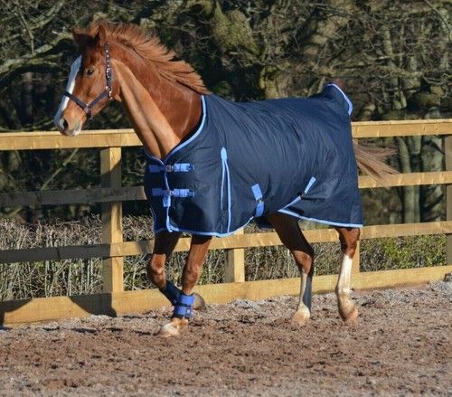 NAVY 100g Lightweight 600d Waterproof Breathable Horse Pony Turnout Rug Ripstop
