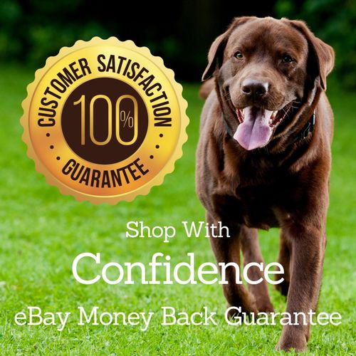 Multivitamin for Dogs, All Essential Daily Vitamins & Minerals Tablets, UK — image 10