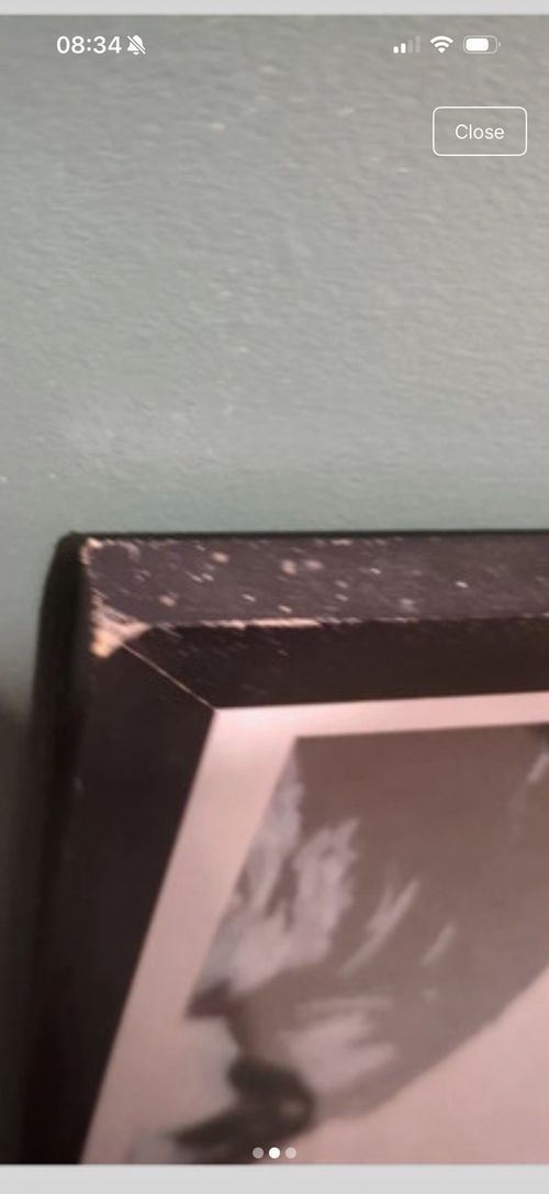 Oasis Artwork In Frame — image 2