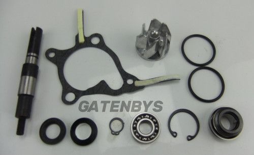 For Water Pump Repair Kit Gasket Impeller Seal Honda NSS250 Reflex 2001-2007 NSS