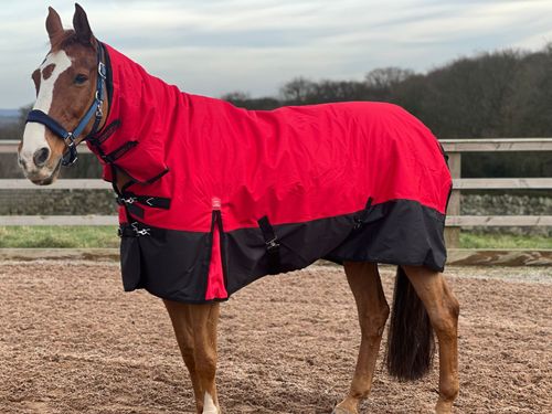 Waterproof 600d Mediumweight Turnout Rug Navy 200g Fill - Combo or Std All Sizes — image 3