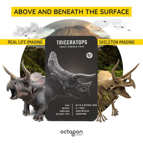 Dinosaur 4D+ AR Flashcards - Interactive 3D STEM Learning Toy Gift for Kids 4+ — image 7