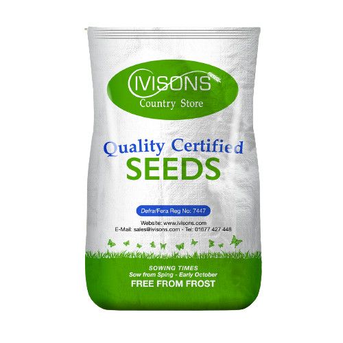 Super Fast Growing Grass Seed | Quick Rapid Lawn Repair & Growth | Pet-Friendly — image 1