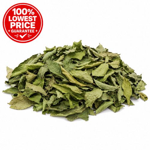 Dried Curry Leaves Premium Quality 20g 50g 100g 200g 500g 1kg 5kg Free UK P&P