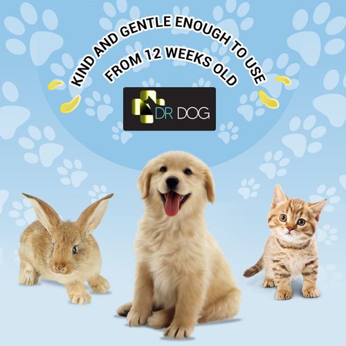 *VET STRENGTH* Dog Ear Cleaner Drops STOP Shaking Ears Itching Mites Odour Wax   — image 4