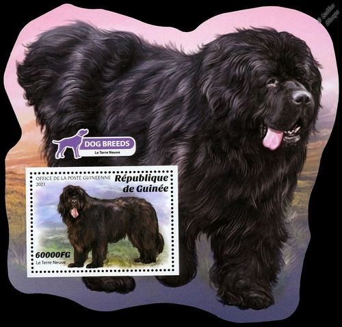 DOGS (Newfoundland) Working Dog Breeds MNH 1v-Stamp Sheet (2021 Guinea) — image 1