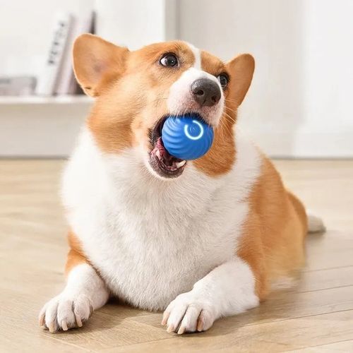 Smart Automatic Rolling Dog Cat Ball Toy Self Moving Interactive Pet Chase Ball — image 4